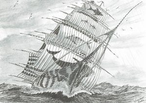 Sturmerschaffer Garabogazkol See von Vincent Alexander Booth