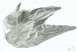 Flügel von Vincent Alexander Booth