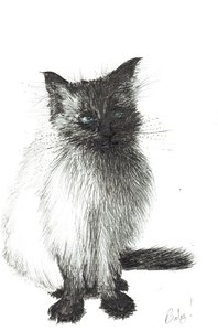Junges Baby, 2004