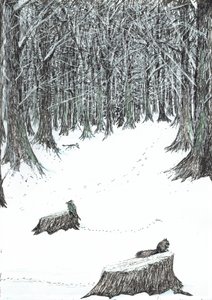 Seite 5, Das Schloss im Wald von Findhorn, 2006 von Vincent Alexander Booth