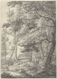 Waldlandschaft mit einer Holzbrücke und zwei Wanderern