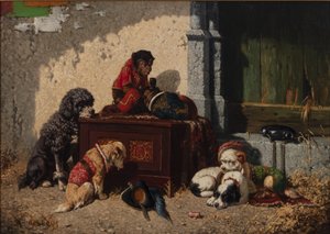 Zirkusgefährten von Vincent de Vos