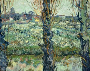 Blick auf Arles