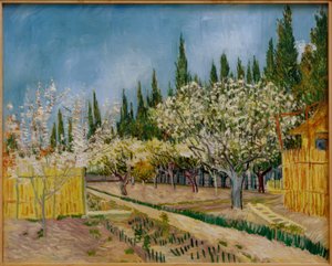 Blühender Obstgarten, von Zypressen umgeben