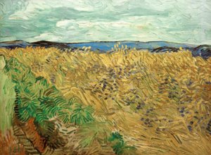 Feld mit Kornblumen