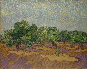 Olivenbäume, 1889 von Vincent van Gogh