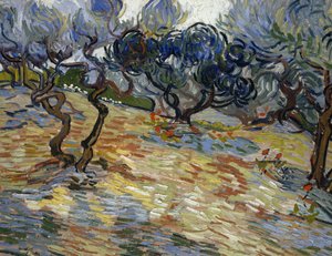 Olivenbäume: Heller blauer Himmel von Vincent van Gogh