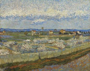 Pfirsichbäume in Blüte, 1889