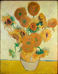 Sonnenblumen