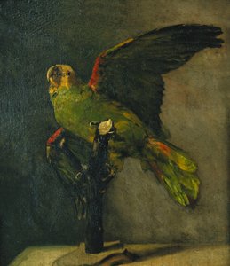 Der grüne Papagei; Le Perroquet Vert, 1885 von Vincent van Gogh