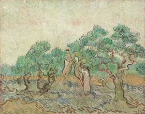 Der Olivenhain von Vincent van Gogh