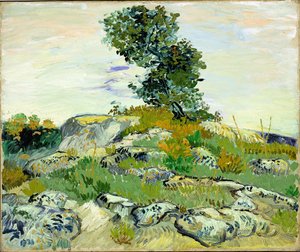 Die Felsen von Vincent van Gogh