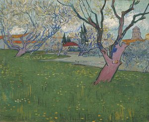 Blühende Obstgärten, Blick auf Arles