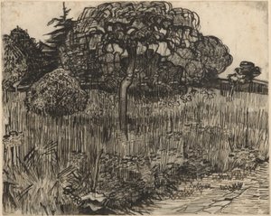 Weinender Baum