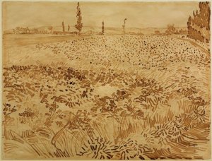 Weizenfeld