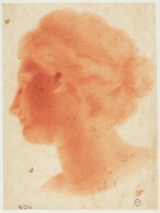 Kopf der Venus von Medici