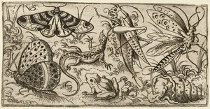 Gruppe von Insekten und Tieren auf einem einfachen Boden mit Gras, 1530 - 1562 von Virgil Solis