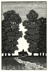 Illustration für Tess von den d