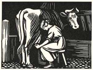 Illustration für Tess von den d