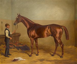 Sir Hugo als Dreijähriger, gehalten von einem Stallburschen, ca. 1875-92