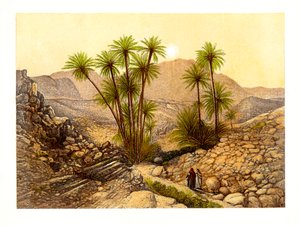 Die Wüste Sinai, Ägypten, um 1870
