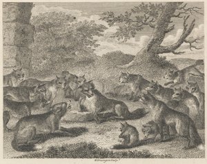 Der Fuchs am Todespunkt von W. Grainger