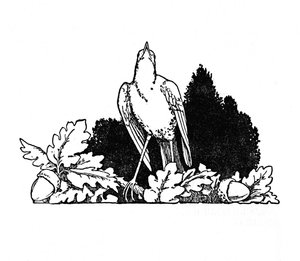 Unter den Zweigen wohnte eine Nachtigall, ca. 1930 von William Heath Robinson