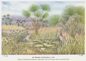 Eine eozäne Landschaft