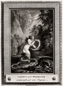 Kadmos und Hermione, in Schlangen verwandelt, 1776