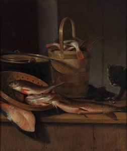 Stillleben mit Fisch und Katze, um 1650-1660 von Wallerant Vaillant