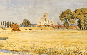 Kathedrale von Canterbury von den Wiesen aus, 1894