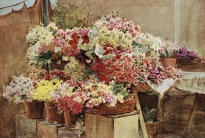 Blumenstand, Mentone Markt