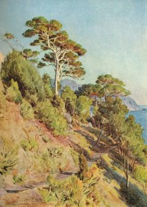 In der Villa Piuma, Sestri Levante, um 1910, 1912 von Walter Frederick Roofe Tyndale