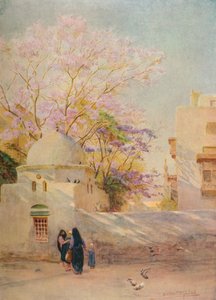 Der Jacaranda, um 1905, 1912