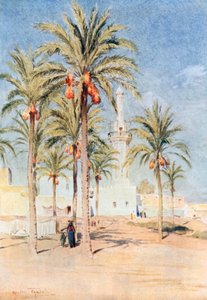 Die Moschee in Aboukir