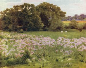 Der New Forest: Riversdale, Boldre