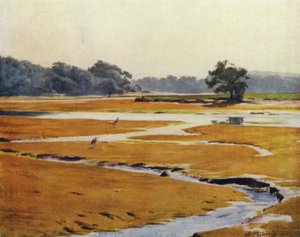 Der New Forest: Der Beaulieu-Fluss von Walter Frederick Roofe Tyndale