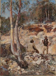 Goldsucher, 1893