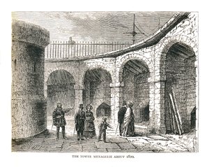 Die Menagerie des Turms, 1878