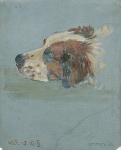 Hundekopf