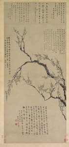 Pflaumenblüten von Wang Shishen