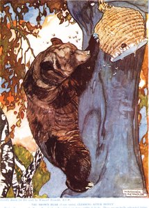 Der Braunbär (Ursus arctos), klettert nach Honig, Illustration aus 