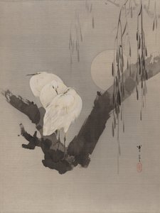Reiher in einem Baum bei Nacht, ca. 1887