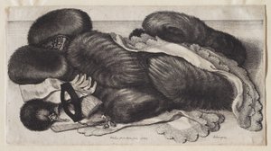 Eine Gruppe von Muffen von Wenceslaus Hollar
