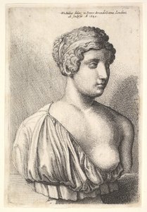 Antike Büste einer Frau von Wenceslaus Hollar