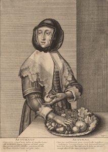 Herbst von Wenceslaus Hollar