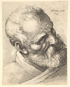 Bärtiger alter Mann mit geneigtem Kopf, 1645 von Wenceslaus Hollar