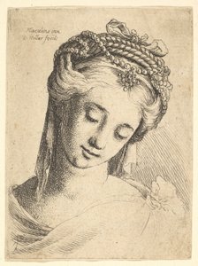 Büste einer jungen Frau mit aufwendigem Kopfschmuck, nach unten blickend von Wenceslaus Hollar