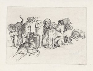 Elf Jagdhunde von Wenceslaus Hollar
