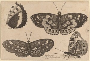 Vier Schmetterlinge